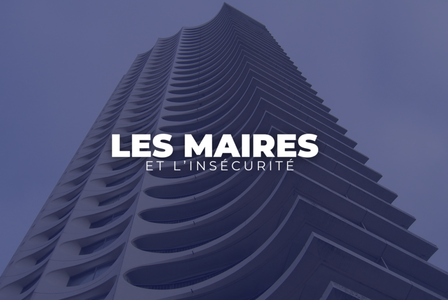 image mise en avant lsi 7