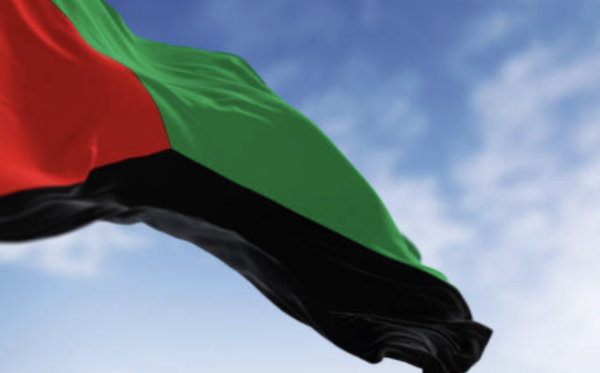 louis domergue martinique