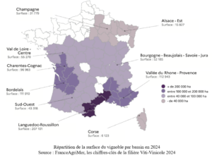 répartition de la surface du vignoble par bassin en 2024