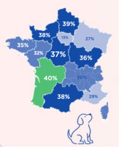 carte morsures de chiens
