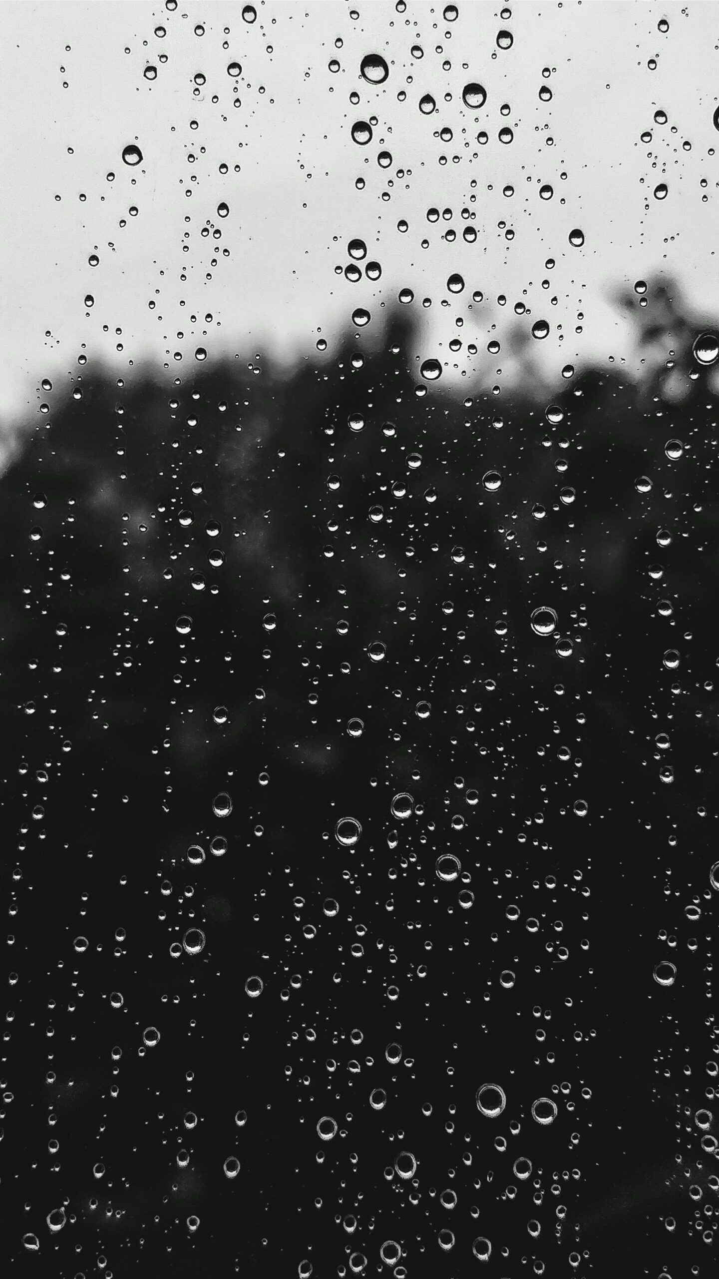 pluie